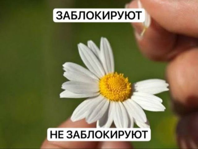 ЗАБЛОКИРУЮТ
НЕ ЗАБЛОКИРУЮТ