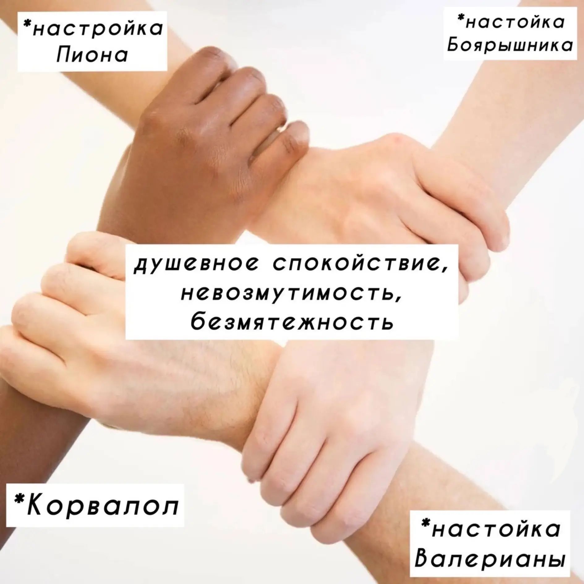 душевное спокойствие, невозмутимость, безмятежность