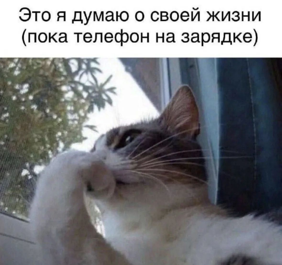 Это я думаю о своей жизни (пока телефон на зарядке)