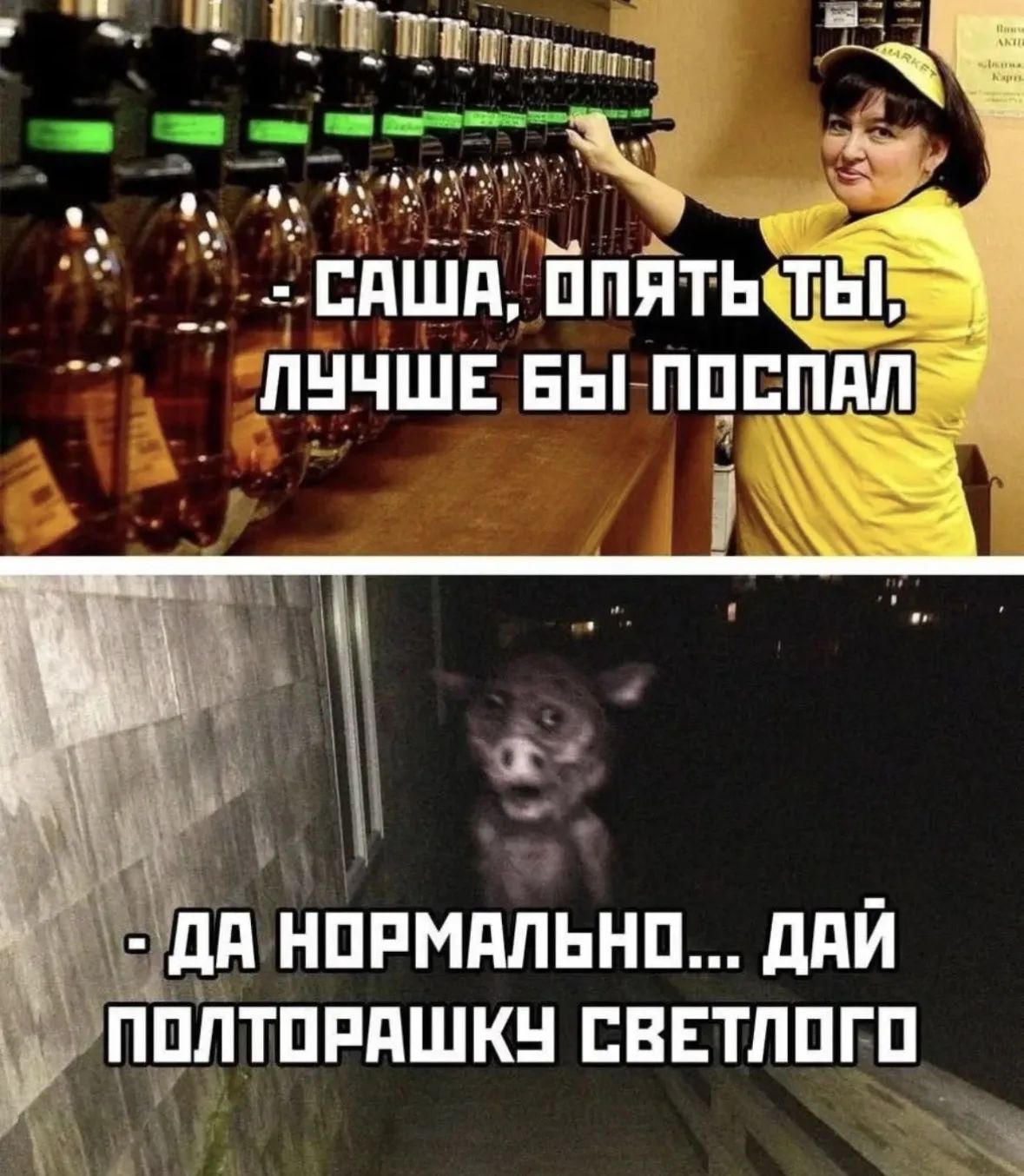 САША, ОПЯТЬ ТЫ, ЛУЧШЕ БЫ ПОСПАЛ
- ДА НОРМАЛЬНО... ДАЙ ПОЛТОРАШКУ СВЕТЛОГО