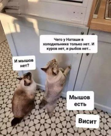 Чего у Наташи в холодильнике только нет. И куров нет, и рыбов нет.. И мышёв нет? Мышов есть. Висит