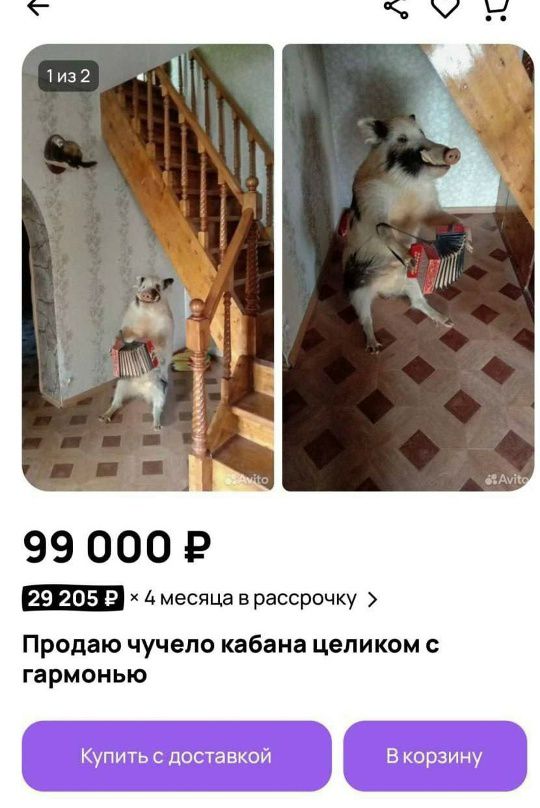 99 000 ₽ 29 205 ₽ × 4 месяца в рассрочку > Продаю чучело кабана целиком с гармонию