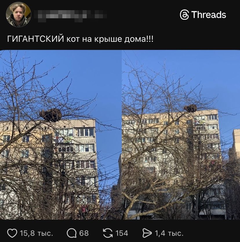 ГИГАНТСКИЙ кот на крыше дома!!!