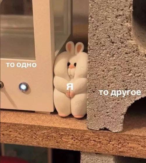 ТО ОДНО — Я — то другое