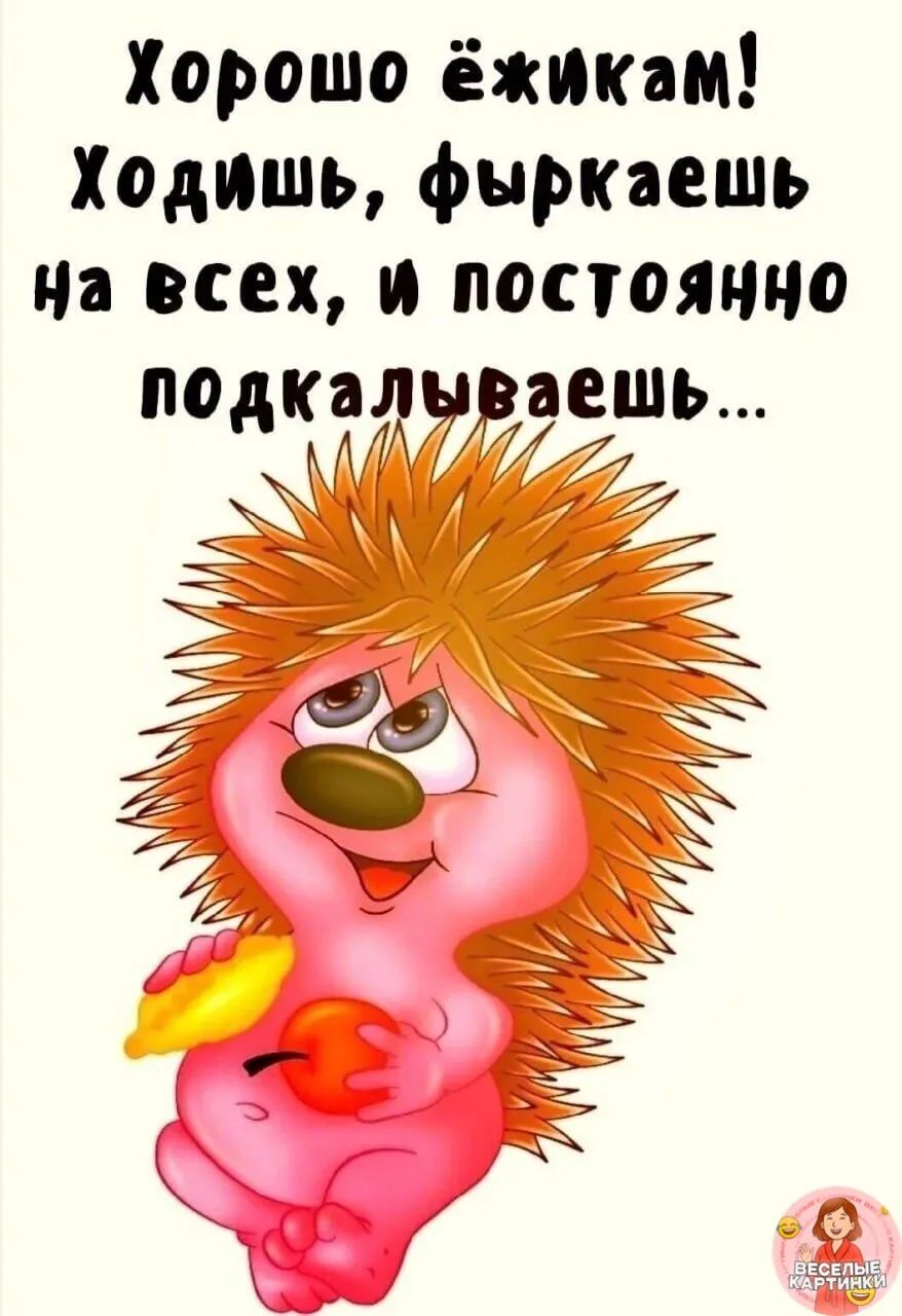 Хорошо ёжикам! Ходишь, фыркаешь на всех, и постоянно подкалываешь...