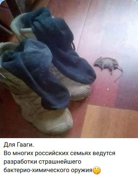 Для Гааги. Во многих российских семьях ведутся разработки страшнейшего бактерио-химического оружия🤔