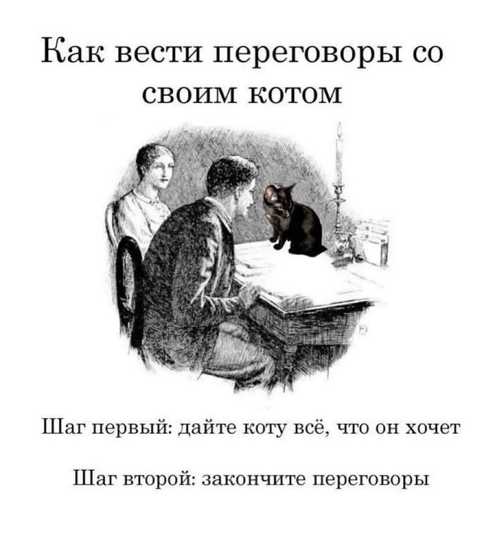 Как вести переговоры со своим котом
Шаг первый: дайте коту всё, что он хочет
Шаг второй: закончите переговоры