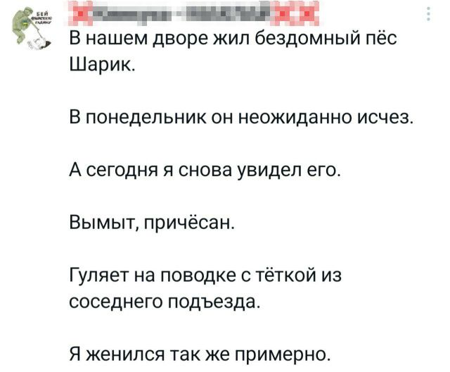 В нашем дворе жил бездомный пёс Шарик.

В понедельник он неожиданно исчез.

А сегодня я снова увидел его.

Вымыт, причёсан.

Гуляет на поводке с тёткой из соседнего подъезда.

Я женился так же примерно.
