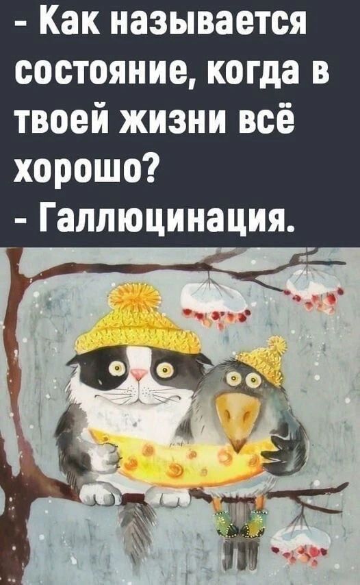 - Как называется состояние, когда в твоей жизни всё хорошо? - Галлюцинация.