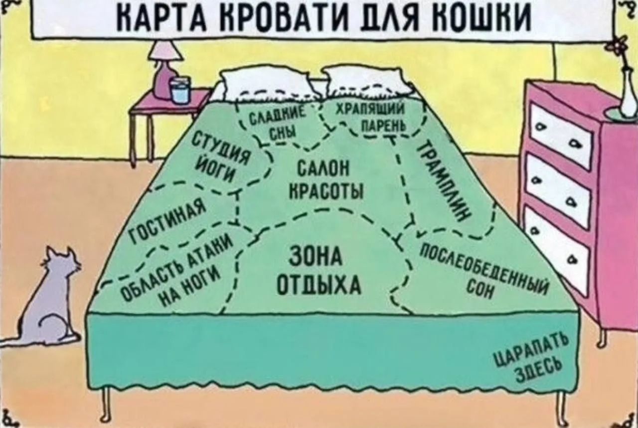КАРТА КРОВАТИ ДЛЯ КОШКИ. ЗОНА ОТДЫХА: СЛАДКИЕ СНЫ, САЛОН КРАСОТЫ, СТУДИЯ ЙОГИ, ГОСТИНАЯ, ОБЛАСТЬ НА НОГИ, ХРАНЯЩИЕ ПАРНИ, ТРАМПЛИН, ПОСЛЕОБЕДЕННЫЙ СОН, ШАРАПАТЬ ЗДЕСЬ.