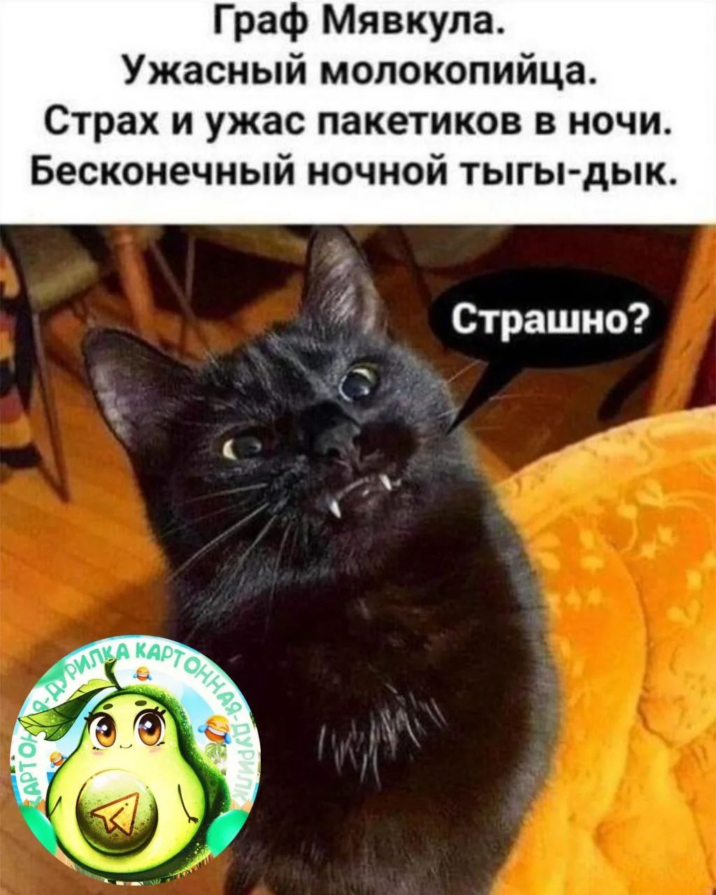 Граф Мявкула. Ужасный молокопийца. Страх и ужас пакетиков в ночи. Бесконечный ночной тыгы-дык.