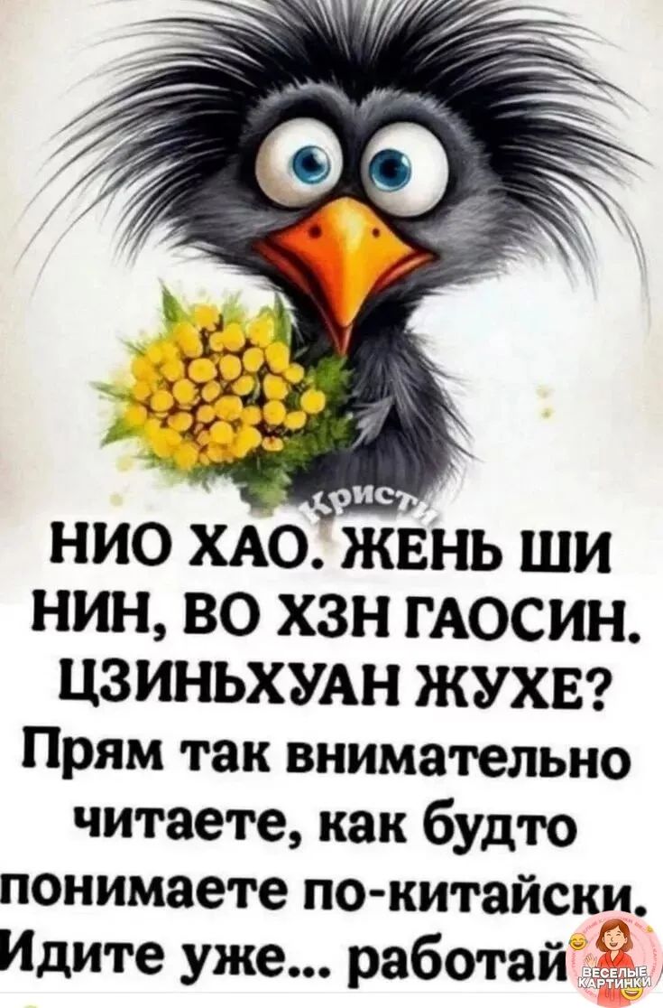 НИО ХАО. ЖЕНЬ ШИ НИН, ВО ХЭН ГАОСИН. ЦЗИНЬХУАН ЖУХЕ? Прям так внимательно читаете, как будто понимаете по-китайски. Идите уже... работа!