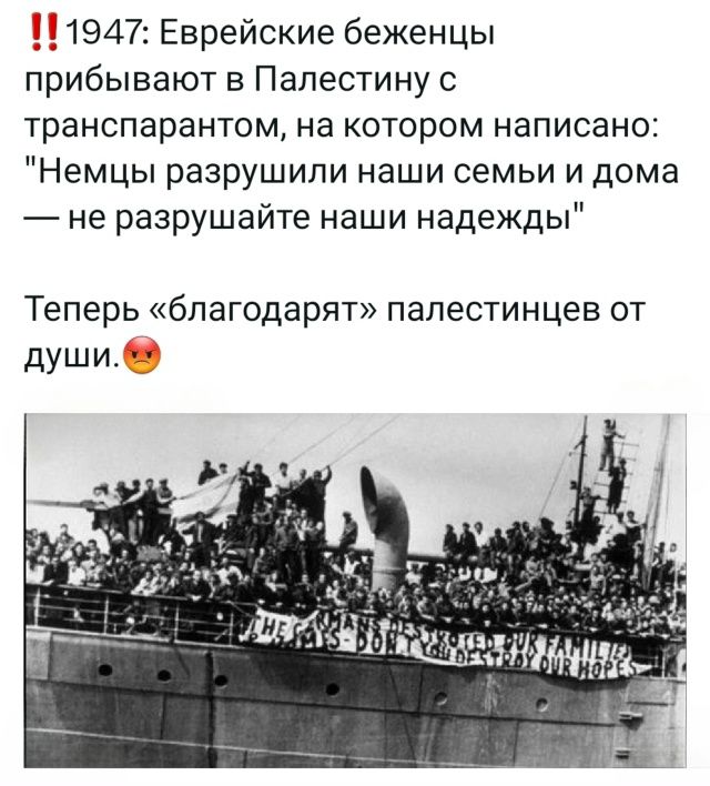 ‼️1947: Еврейские беженцы прибывают в Палестину с транспарантом, на котором написано: 
