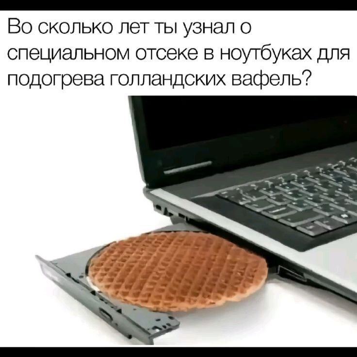 Во сколько лет ты узнал о специальном отсеке в ноутбуках для подогрева голландских вафель?