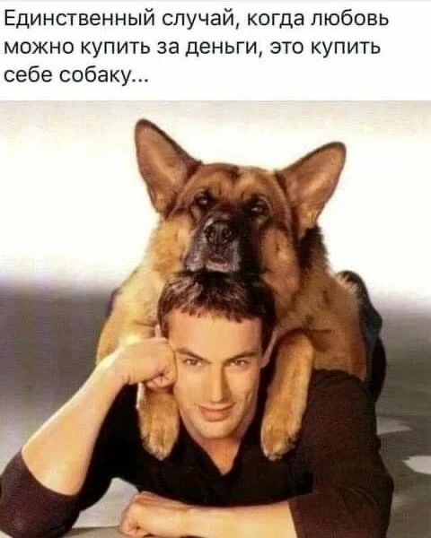 Единственный случай, когда любовь можно купить за деньги, это купить себе собаку...