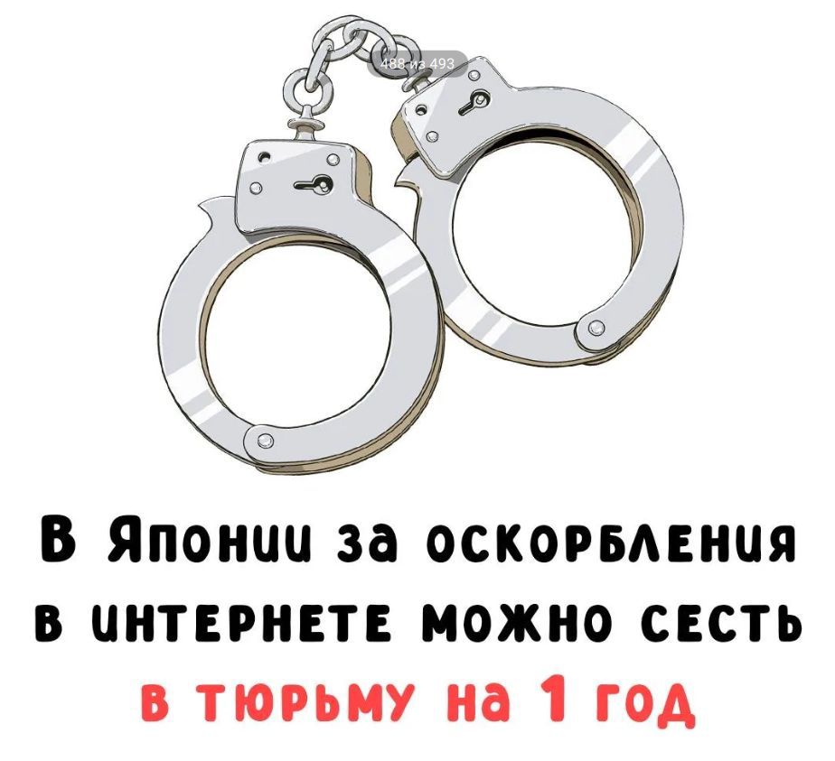 В Японии за оскорбления в интернете можно сесть в тюрьму на 1 год