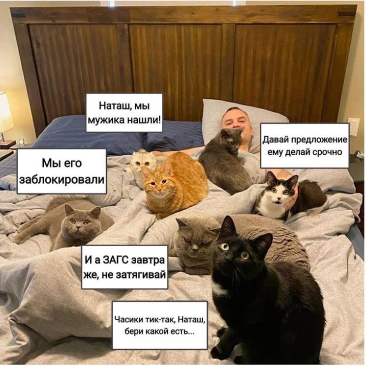 Наташ, мы мужика нашли! Давай предложение ему делай срочно. Мы его заблокировали. И в ЗАГС завтра же, не затягай. Часики тик-так, Наташ, бери какой есть...