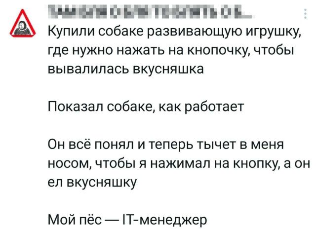 Купили собаке развивающую игрушку, где нужно нажать на кнопочку, чтобы вываливалась вкусняшка. Показал собаке, как работает. Он всё понял и теперь тычет в меня носом, чтобы я нажимал на кнопку, а он ел вкусняшку. Мой пёс — IT-менеджер