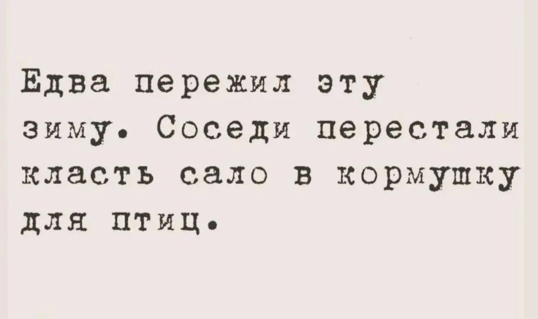 Едва пережил эту зиму. Соседи перестали класть сало в кормушку для птиц.