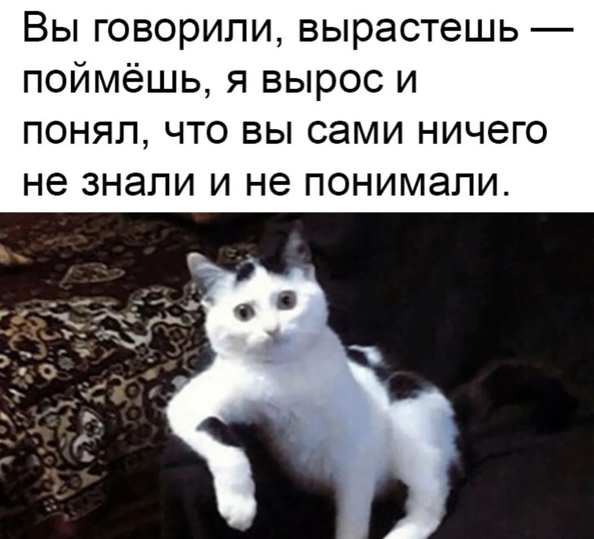 Вы говорили, вырастешь — поймёшь, я вырос и понял, что вы сами ничего не знали и не понимали.