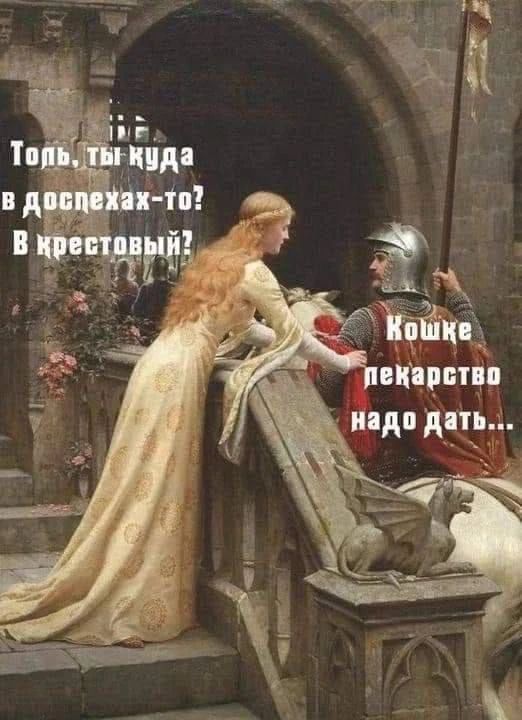 Толь, ты куда в доспехах-то? В крестовый? Кошке лекарство надо дать...