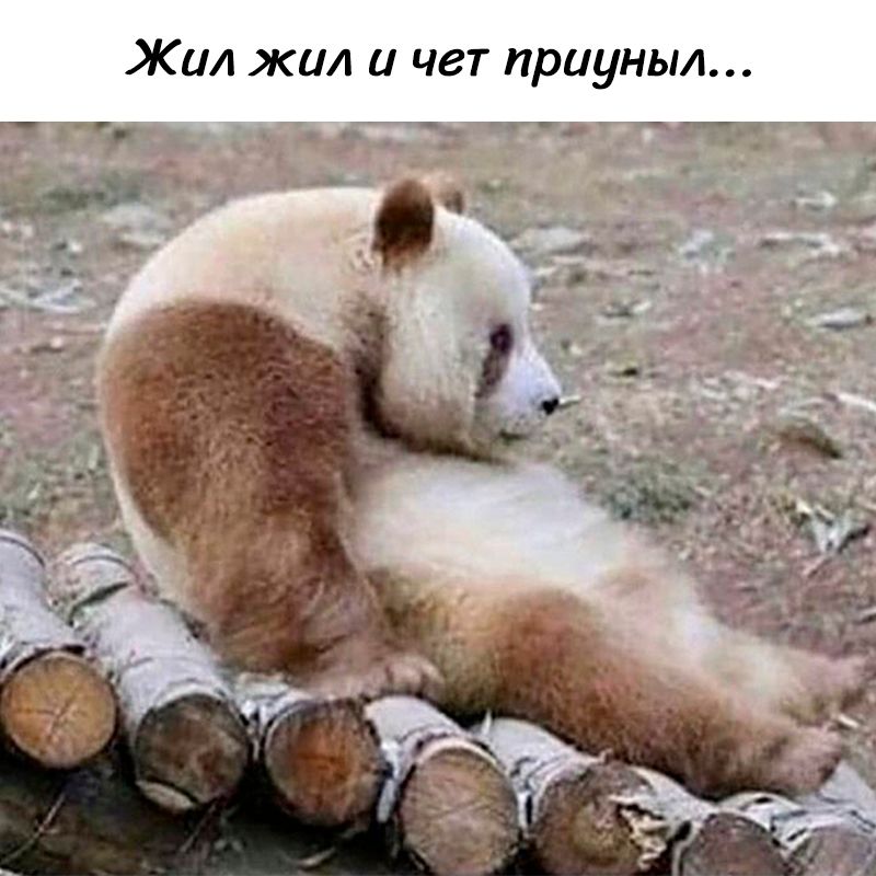 Жил жил и че прюны...
