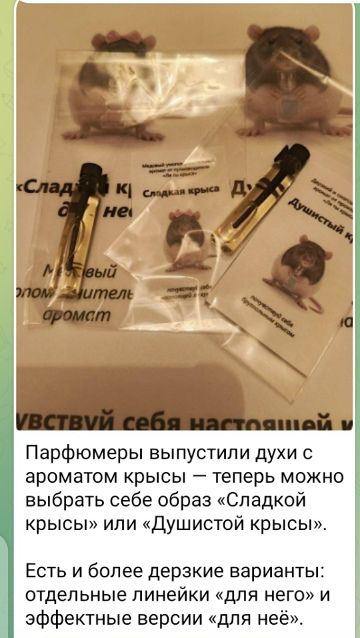 Парфюмеры выпустили духи с ароматом крыс — теперь можно выбрать себе образ «Сладкой крысЫ» или «Душистой крысЫ». Есть и более дерзкие варианты: отдельные линейки «для него» и эффектные версии «для неё».