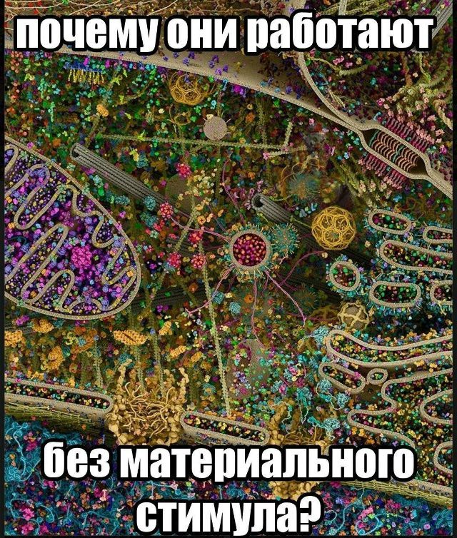 почему они работают без материального стимула?