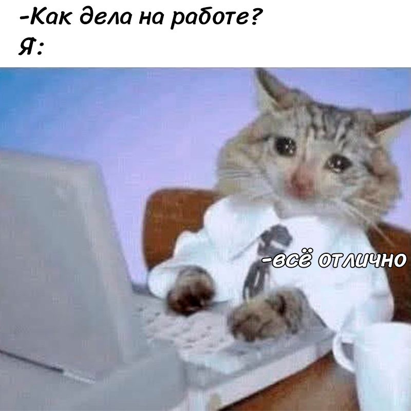 -Как дела на работе? Я:
- всё отлично