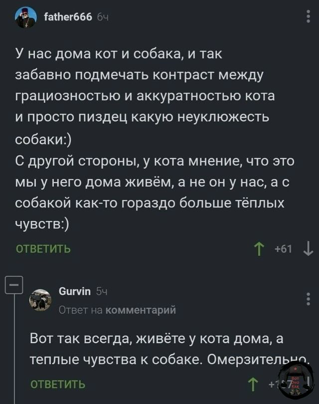 У нас дома кот и собака и так забавно подмечать контраст между грациозностью и аккуратностью кота и просто пиздец какую неуклюжесть собаки:) С другой стороны, у кота мнение, что это мы у него дома живём, а не он у нас, а с собакой как-то гораздо больше тёплых чувств:)