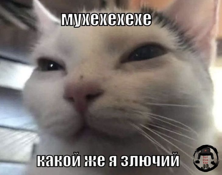 мухехехехе какой же я злой