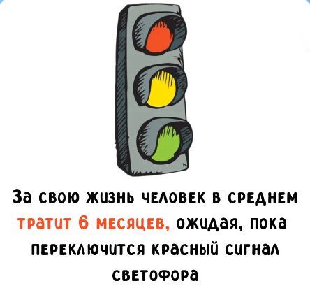 За свою жизнь человек в среднем тратит 6 месяцев, ожидая, пока переключится красный сигнал светофора