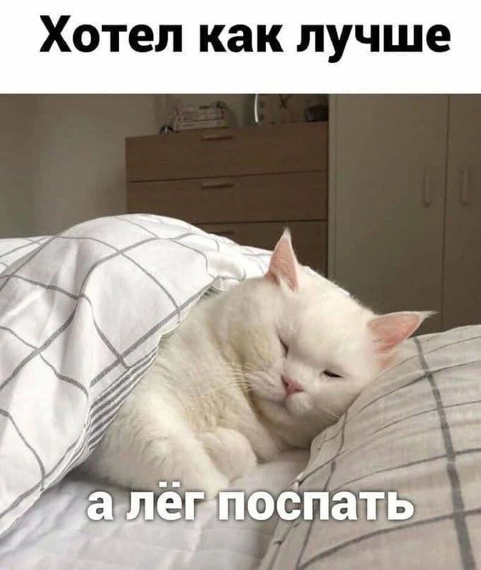 Хотел как лучше а лёг поспать