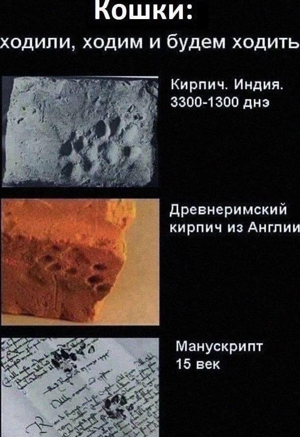 Кошки:
ходили, ходим и будем ходить

Кирпич. Индия. 3300-1300 до н. э.

Древнеримский кирпич из Англии

Манускрипт 15 век