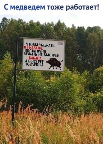 С медведем тоже работает! Чтобы убежать от кабана достаточно бежать не быстрее кабана, а быстрее товарища.