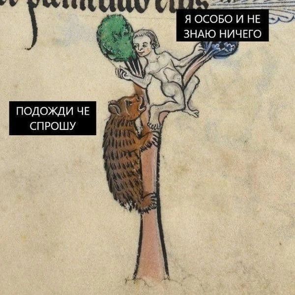 Я особо и не знаю ничего
Подожди че спрошу