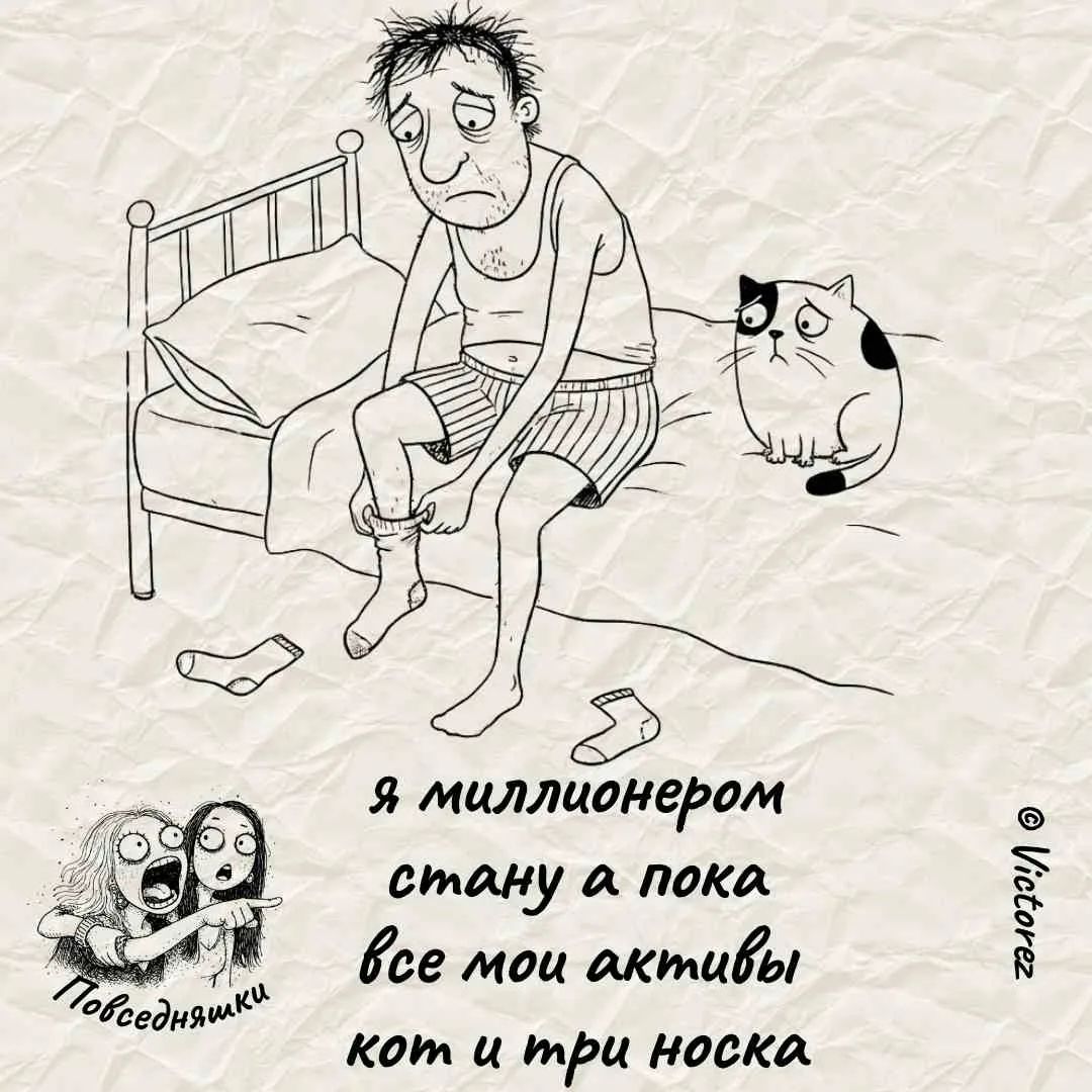 Я миллионером стану а пока все мои активы кот и три носка