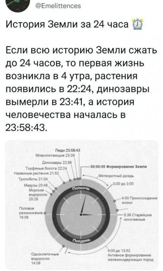 История Земли за 24 часа ⏳ Если всю историю Земли сжать до 24 часов, то первая жизнь возникла в 4 утра, растения появились в 22:24, динозавры вымерли в 23:41, а история человечества началась в 23:58:43.