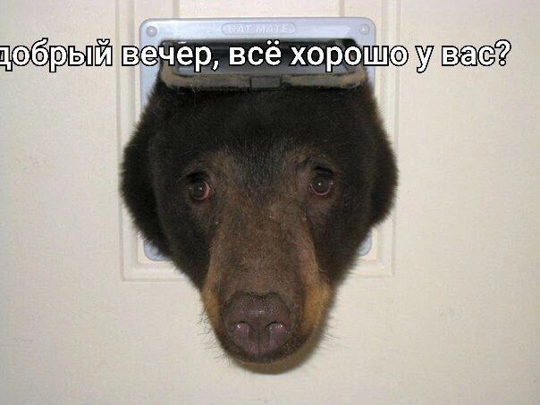 добрый вечер, всё хорошо у вас?