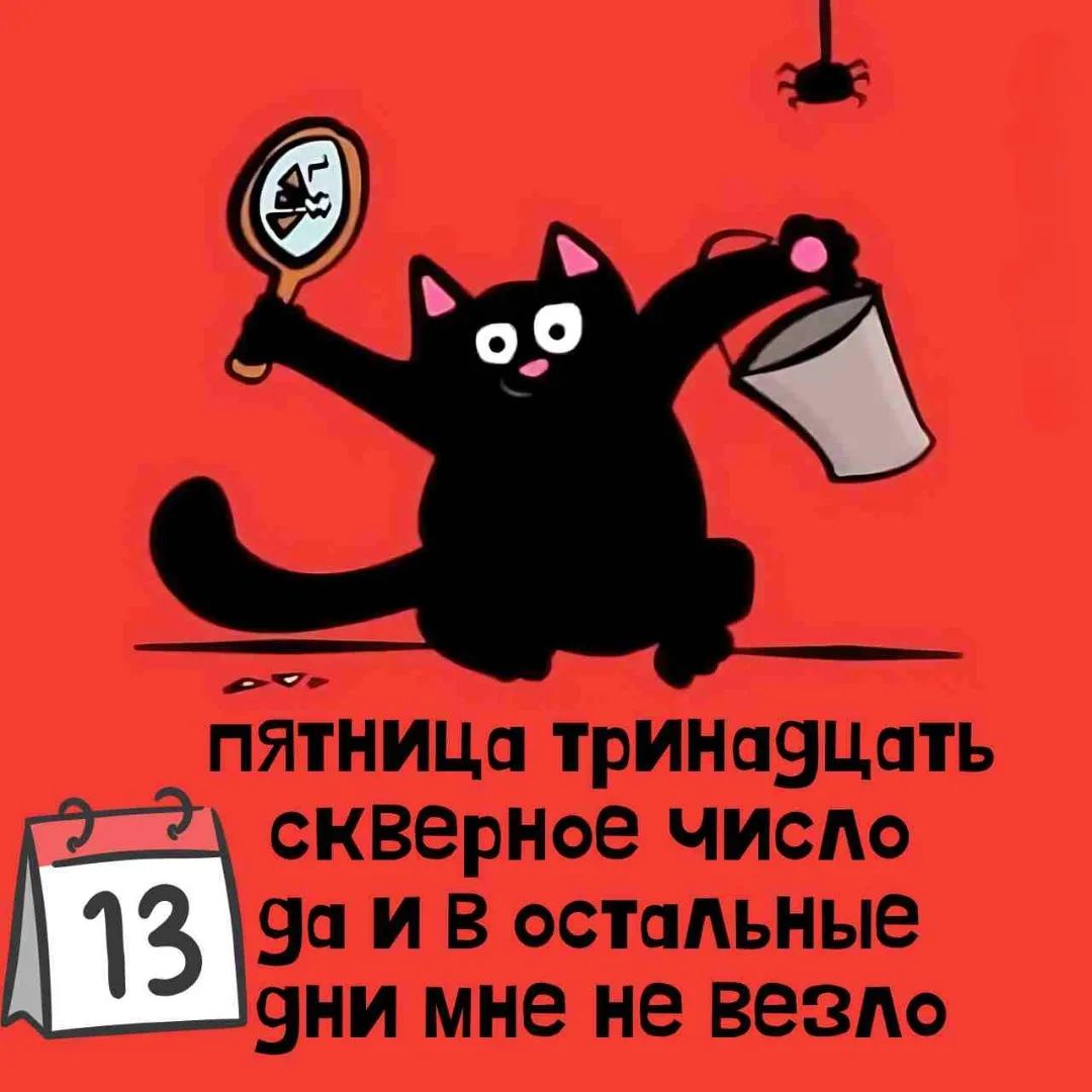 Пятница тринадцать скверное число да и в остальные дни мне не везло
