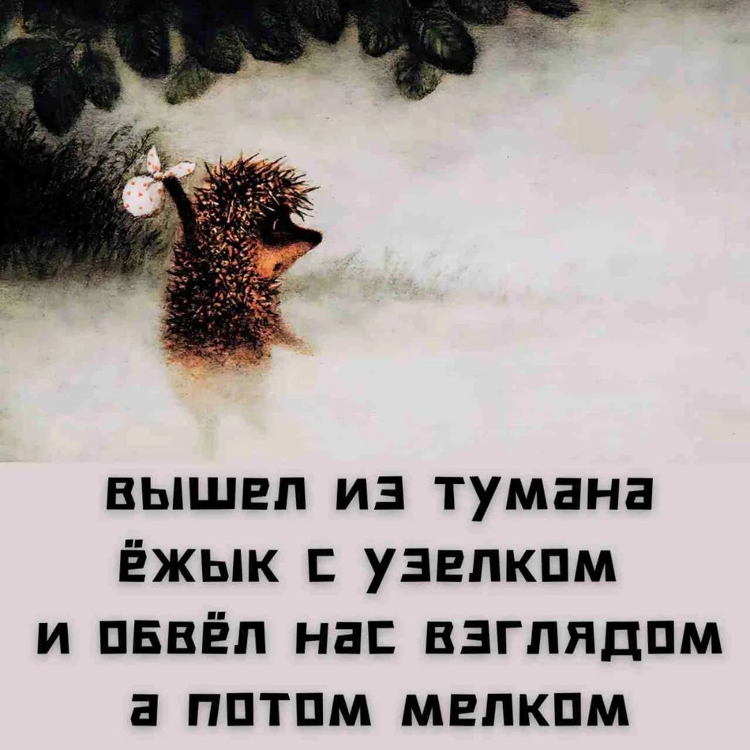 вышел из тумана ёжик с узелком и обвел нас взглядом а потом мелком