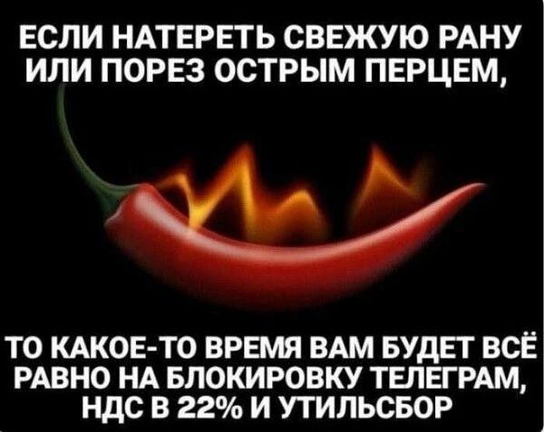 ЕСЛИ НАТЕРЕТЬ СВЕЖУЮ РАНУ ИЛИ ПОРЕЗ ОСТРЫМ ПЕРЦЕМ, ТО КАКОЕ-ТО ВРЕМЯ ВАМ БУДЕТ ВСЁ РАВНО НА БЛОКИРОВКУ ТЕЛЕГРАМ, НДС В 22% И УТИЛЬСБОР