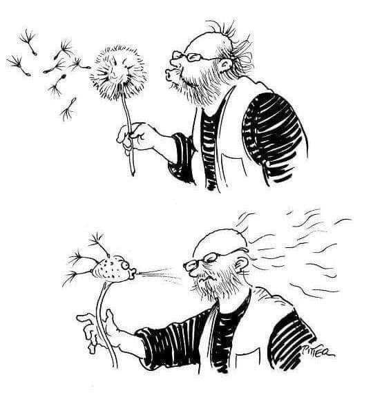 Карикатура: мужчина выдувает пыльцу одуванчика, снизу — собака дует в растение.