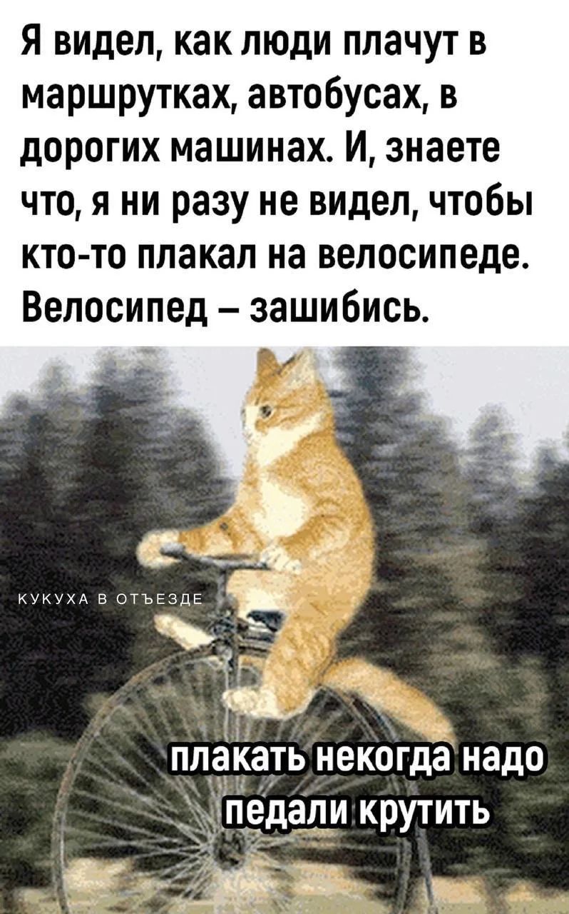 Я видел, как люди плачут в маршрутках, автобусах, в дорогих машинах. И, знаете что, я ни разу не видел, чтобы кто-то плакал на велосипеде. Велосипед – зашибись. плакать некогда надо педали крутить