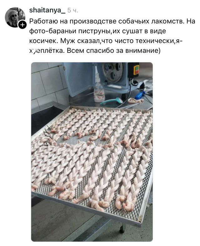 Работаю на производстве собачьих лакомств. На фото — кусочки сырого мяса на лотке, их сушат в виде косичек. Муж сказал, что чисто технически, я …. Всем спасибо за внимание)