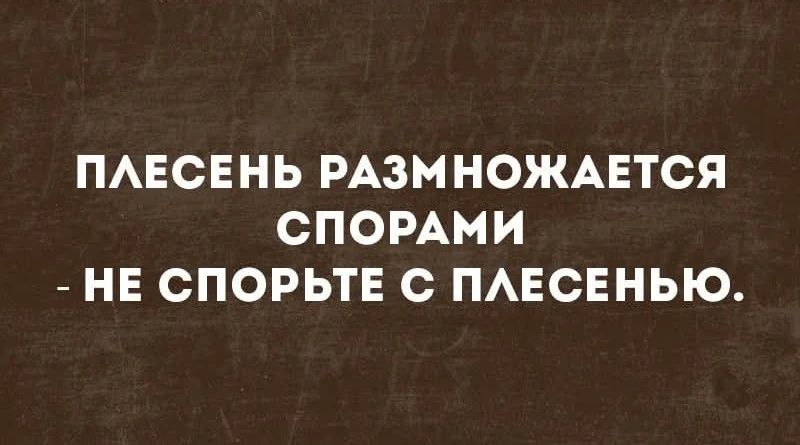 ПЛЕСЕНЬ РАЗМНОЖАЕТСЯ СПОРАМИ - НЕ СПОРЬТЕ С ПЛЕСЕНЬЮ.