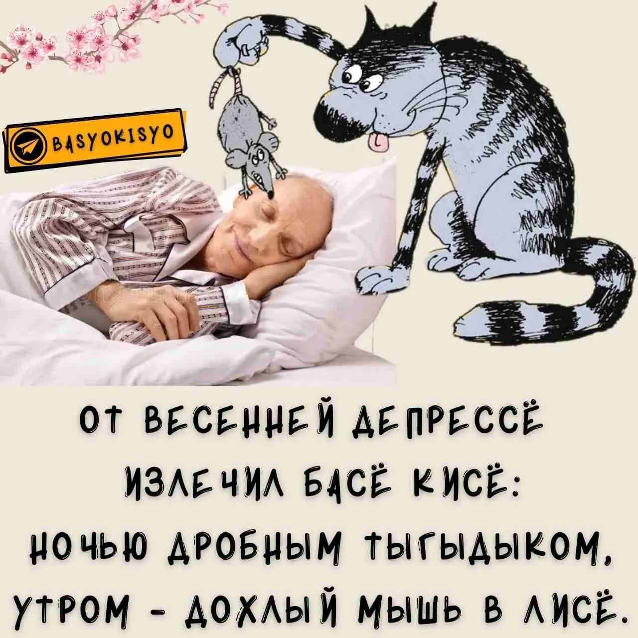 ОТ ВЕСЕННЕЙ ДЕПРЕССЁ ИЗЛЕЧИЛ БАСЁ КИСЁ: НОЧЬЮ ДРОБНЫМ ТЫГЫДЫКОМ, УТРОМ - ДОХЛЫЙ МЫШЬ В ЛИСЁ.