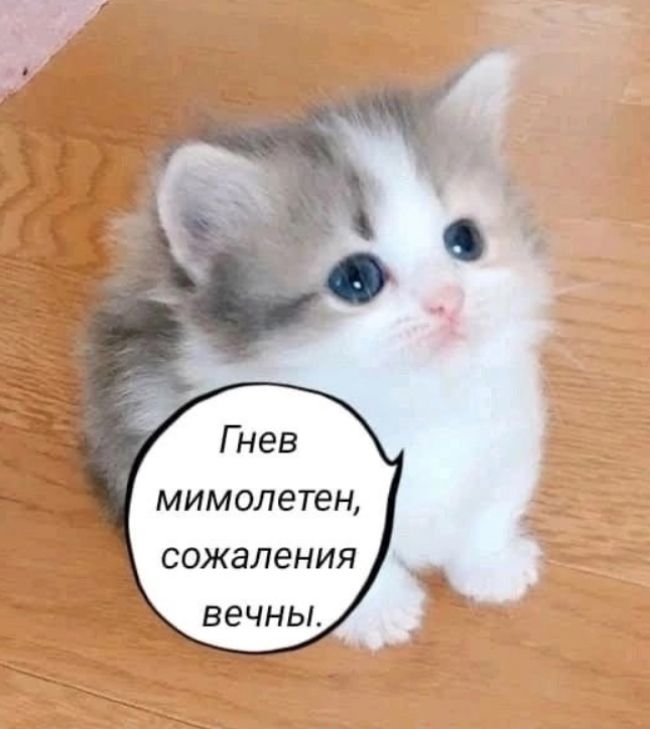 Гнев мимолетен, сожаления вечны.