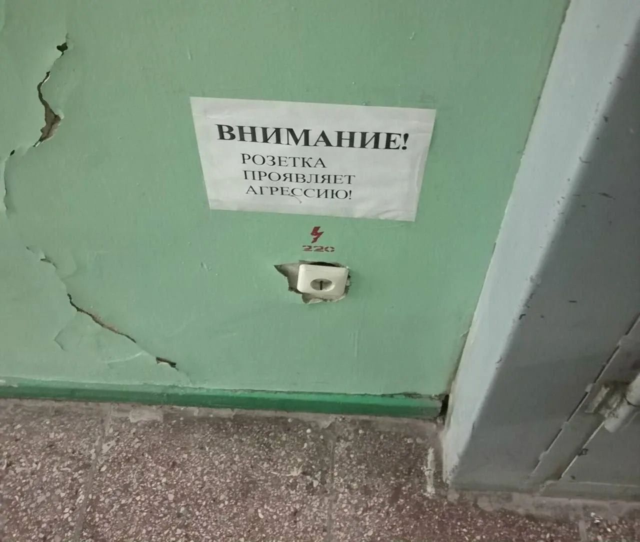 ВНИМАНИЕ! РОЗЕТКА ПРОЯВЛЯЕТ АГРЕССИЮ! ⚡ 220