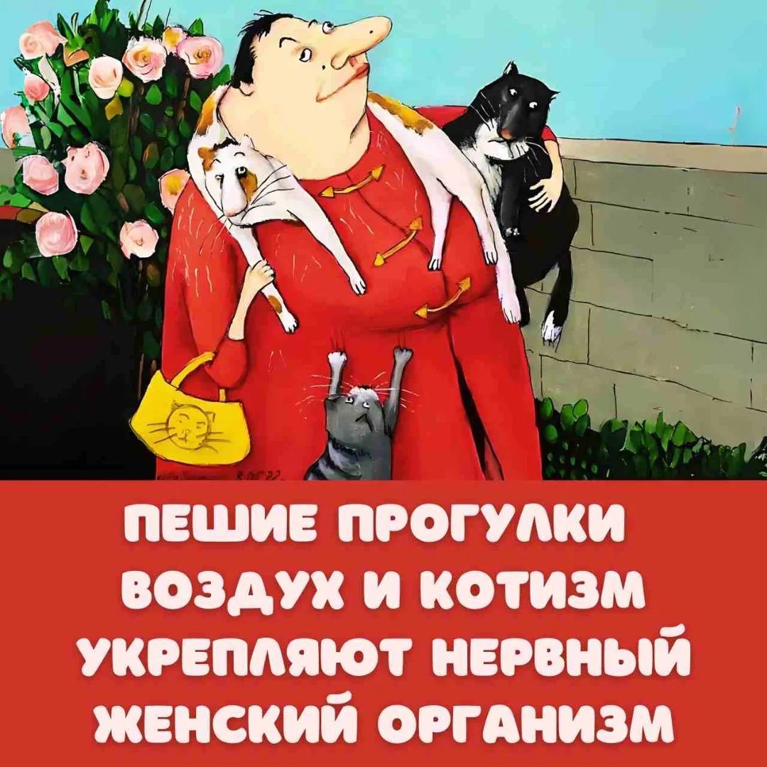 ПЕШИЕ ПРОГУЛКИ ВОЗДУХ И КОТИЗМ УКРЕПЛЯЮТ НЕРВНЫЙ ЖЕНСКИЙ ОРГАНИЗМ